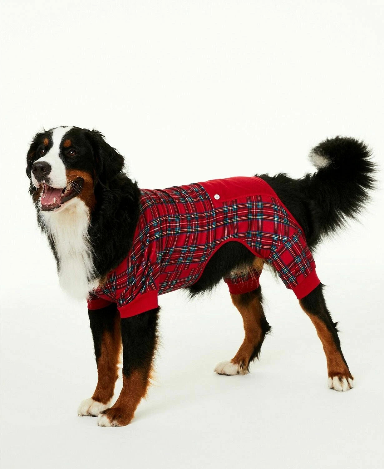 Family Pajamas Matching Brinkley Plaid Christmas Pajamas All Variations Holiday