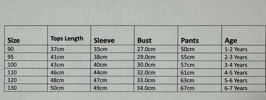 NEW Disney Cartoon Boys Print Long Sleeve 2-Piece Set Pajama