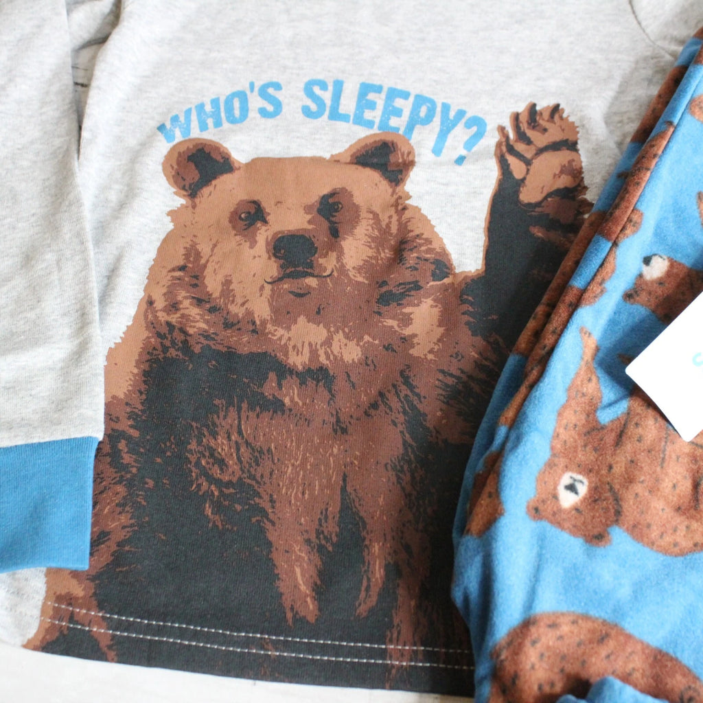 Carter's Boy's Winter 2 Pc Pajama Set Youth Size 5 5T Gray Blue Brown Bear