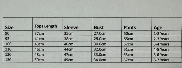 NEW Disney Cartoon Boys Print Long Sleeve 2-Piece Set Pajama