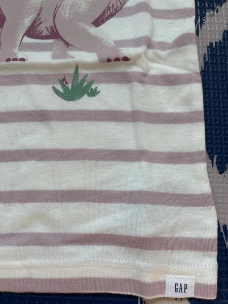 🌱ORGANIC🌱 Baby Gap  |  Pink Dino PJ Set  Sz 6 yrs - +Loving Kindness Everyday